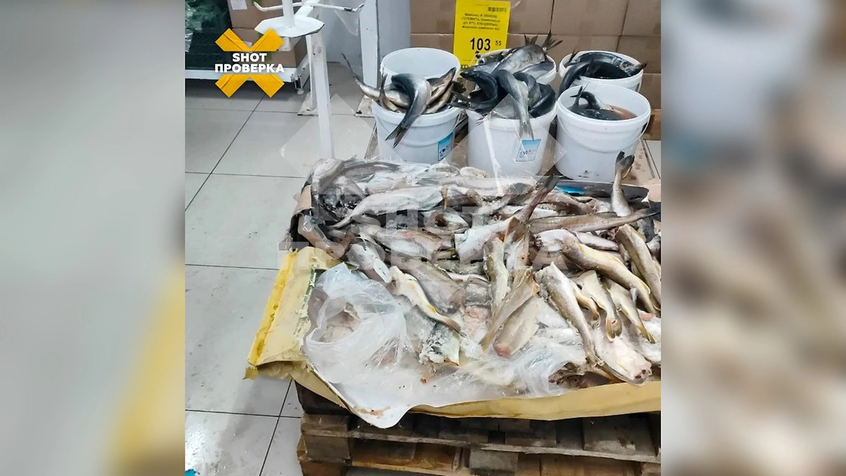 В «Светофоре» нашли протухшее мясо и домашние консервы с риском ботулизма. Фото © Telegram/SHOT ПРОВЕРКА