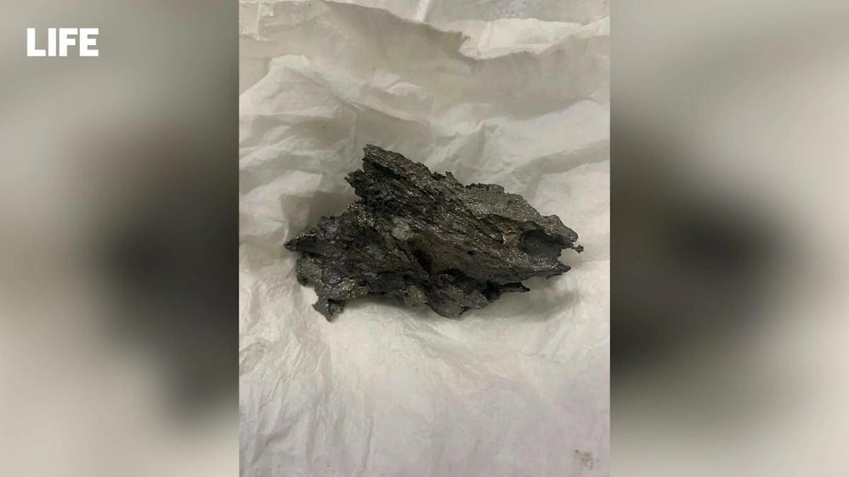 Фрагменты метеора, найденные у пассажира в Домодедово. Фото © Предоставлено Life.ru