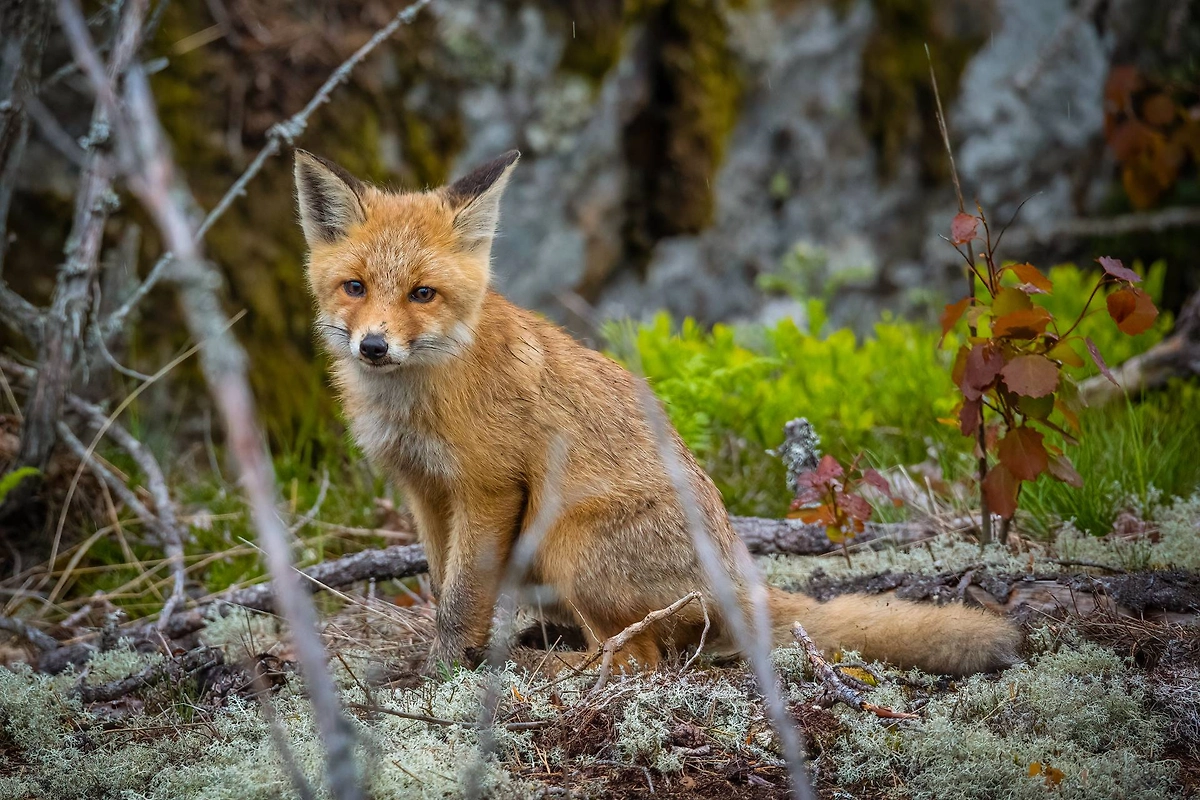 Народные приметы на 9 марта: погода и урожай. Фото © Freepik