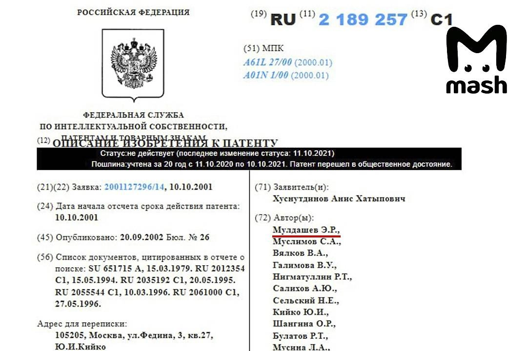 Статус патента. Фото © Telegram / Mash