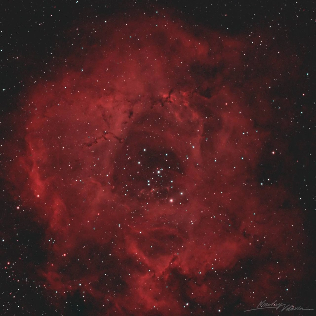 Роскосмос опубликовал кадры «космического букета» к 8 Марта. Фото © Telegram / Роскосмос/ Николай Вдовин