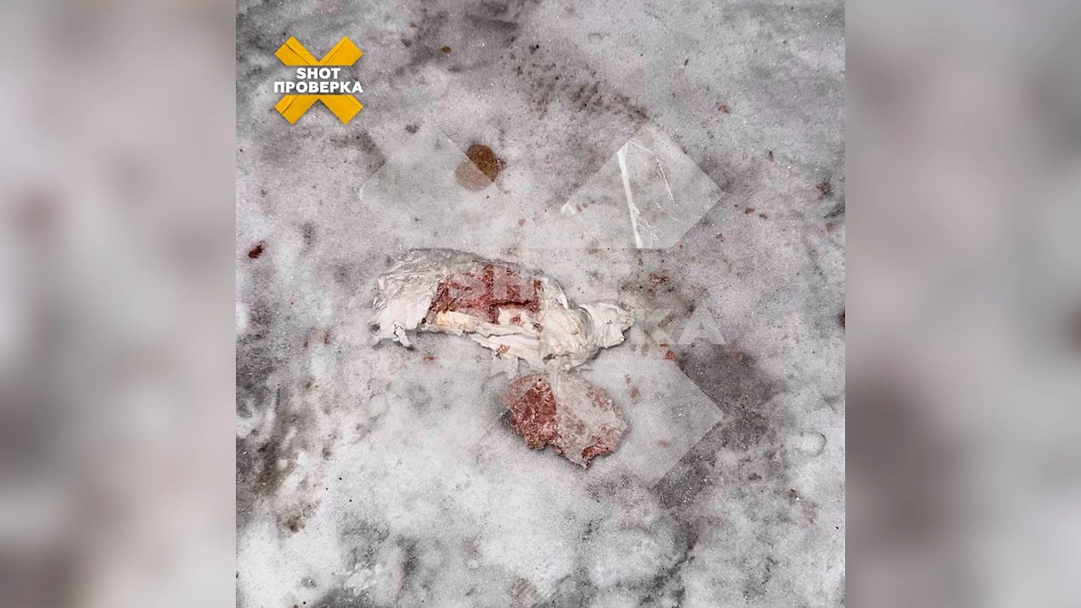 Свёртки с отравой для собак разбросаны по улицам Хабаровска. Фото © Telegram / SHOT ПРОВЕРКА