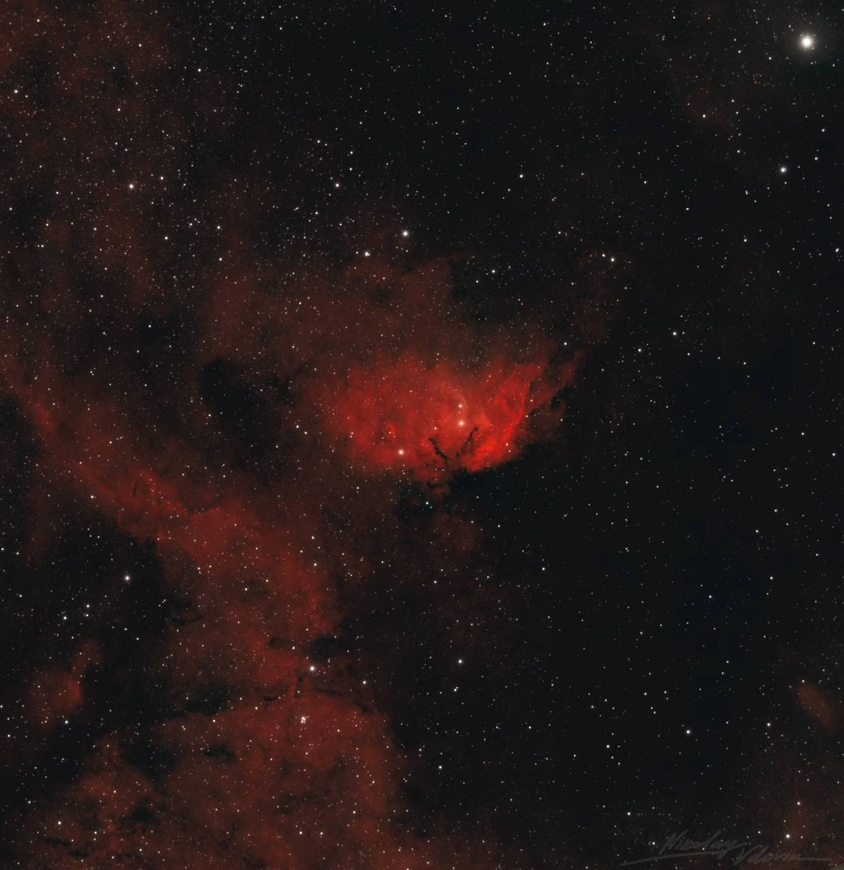 Роскосмос опубликовал кадры «космического букета» к 8 Марта. Фото © Telegram / Роскосмос/ Николай Вдовин