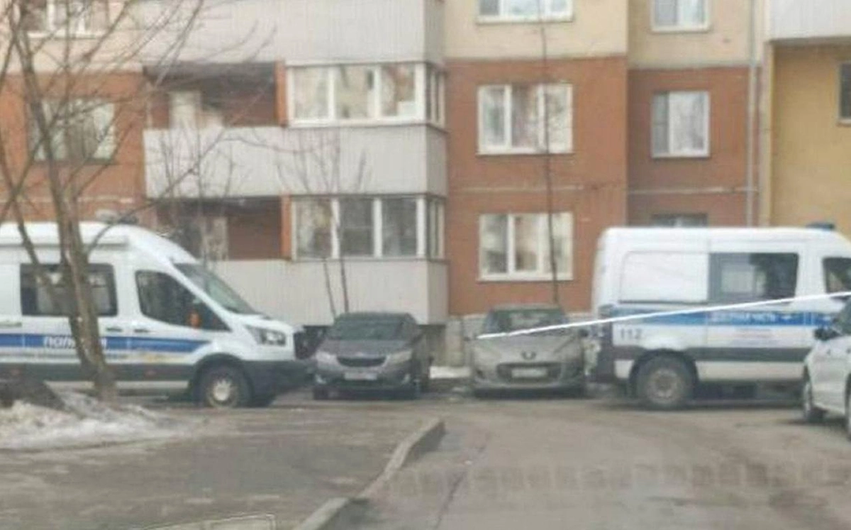 В петербургских Шушарах нашли окровавленное тело мужчины с ножевыми ранениями. Обложка © Telegram / Ленсоветовский канал