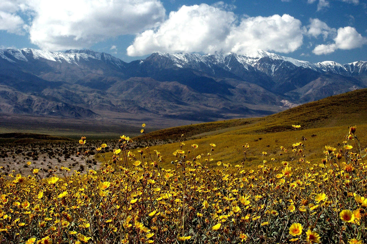 Обложка © Wikipedia / Chuck Abbe