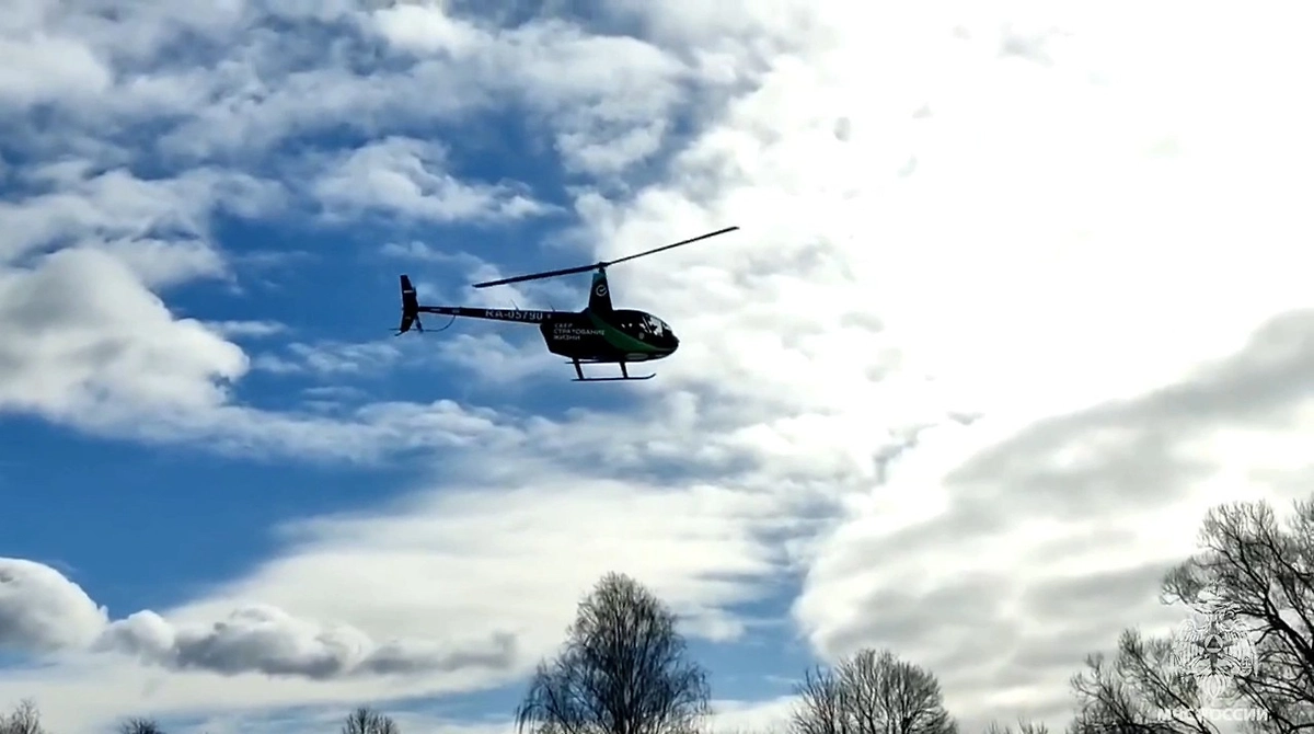 Обложка © Telegram / МЧС Московской области