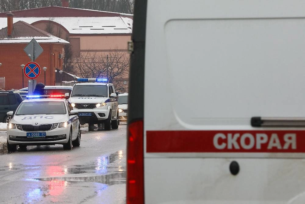 Обложка © ТАСС / Павел Колядин