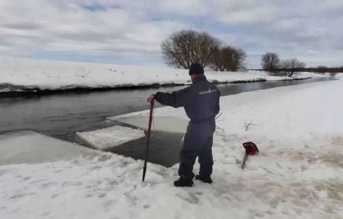 Место поисков Алины, Богдана и Ивана. Обложка © Telegram / МЧС Московской области