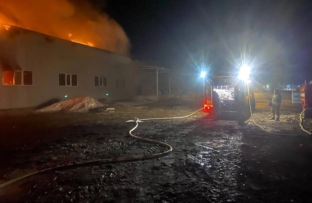 Последствия атаки БПЛА в Новом Осколе. Фото © Telegram / Настоящий Гладков