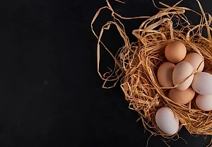 Экстрасенс предсказала, что будет с ценами на яйца в 2024 году