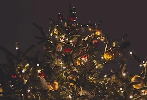 Семья с двумя детьми чуть не погибла в Москве из-за загоревшейся гирлянды на ёлке