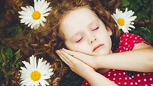 8 обязательных растений для спальни, гарантирующих крепкий и здоровый сон