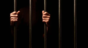 В Адыгее арестовали охранника, который расчленил сотрудника Почты России