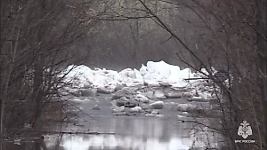 Мощная волна затопила два посёлка в Хабаровском крае из-за перелива через дамбу