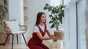 5 комнатных растений, помогающих похудеть своей чудо-энергетикой