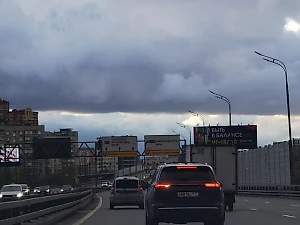 Бушующий шторм повалил в Москве и области более сотни деревьев