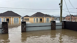В РАН оценили версию о вине грызунов в прорыве дамбы в Орске