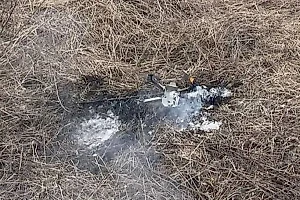 В Подмосковье обнаружили около десятка БПЛА после таяния снега