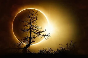 Как во время затмения 8 апреля не испортить себе жизнь и не утонуть в бедности 