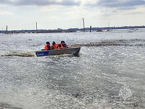 В одном из районов Курганской области ввели режим ЧС в связи с паводком
