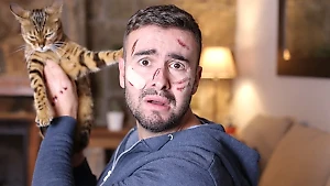 6 пород кошек, которые отберут у вас власть в квартире и заставят им поклоняться