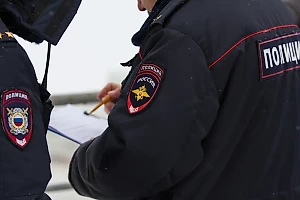 Житель Латвии пытался ввезти в Россию 49 килограммов гашиша, но попался силовикам