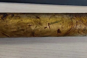 В памятнике Ленину на Сахалине нашли утерянную капсулу времени