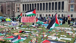 Число задержанных на пропалестинских протестах в США превысило 1,6 тысячи