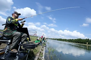 В Подмосковье рыбака избили толпой из-за замечания справившему нужду прямо в пруд