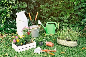 Эксперт рассказал, как в целости довезти на дачу рассаду, саженцы и цветы