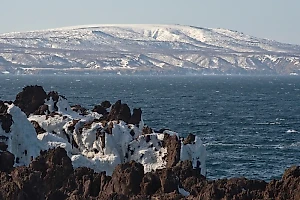 Японию призвали оставить споры с Москвой о Курилах и заняться конструктивом