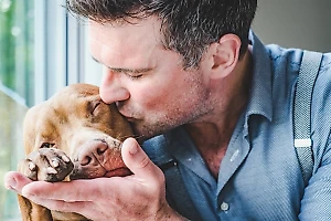 Не более 10 лет: 6 пород собак с самой маленькой продолжительностью жизни