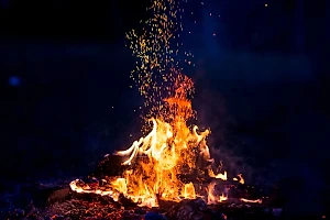 На Ставрополье задержали троих молодых людей, которые сожгли Библию