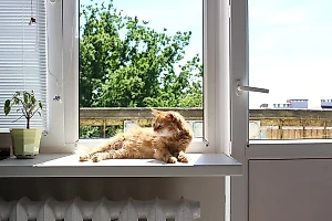 Синоптик рассказал, когда из Москвы уйдёт аномальная жара