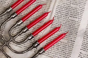 В США пришлось эвакуировать синагоги из-за лжеминирований