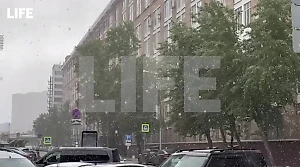 Синоптик объяснил феномен "слепой" метели, которая обрушилась на Москву 8 мая