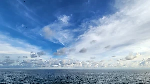 В ГД спустили на землю участников "саммита мира", напомнив, кому принадлежит Азовское море