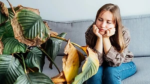 5 основных причин, почему дохнут ваши комнатные растения, и как это легко исправить