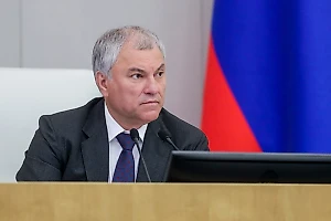 Володин рассказал об общем заказчике терактов в Севастополе и Дагестане