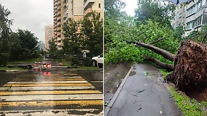 Москва пережила 10-балльный шторм, порывы ветра достигали 90 км/ч
