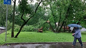Синоптик сделал неутешительный прогноз по поводу ураганов в Москве