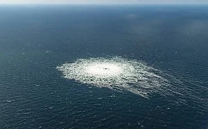 Вован и Лексус раскрутили главу ВЭФ на откровения по "Северным потокам"