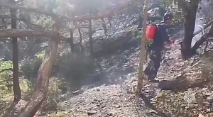 Огонь повредил 60 построек на базе "Романтик" в Дюрсо, два человека пострадали