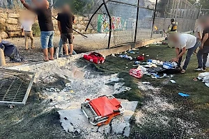 В Белом доме назвали "Хезболлу" ответственной за удар по Голанам