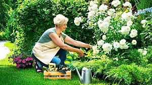 Летом пенсионеры смогут получить бесплатно ряд услуг: За что теперь можно не платить