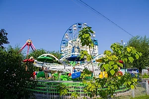 В Саратовской области девушка погибла, выпав из кабинки колеса обозрения