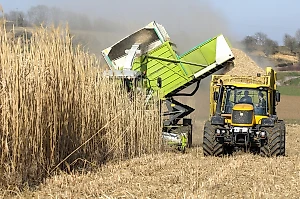 Украинский беспилотник убил тракториста и серьёзно ранил его жену в поле под Белгородом