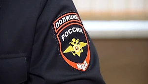 В МВД назвали число лишившихся российского гражданства из-за преступлений