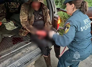 Окровавленный россиянин вышел из леса после невероятной победы в схватке с медведем