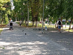 В Курской области развеяли фейк о присутствии ВСУ в слободе Белой